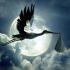 Bebe cigogne nuages3